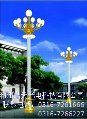 ���A��S�Ҷ���